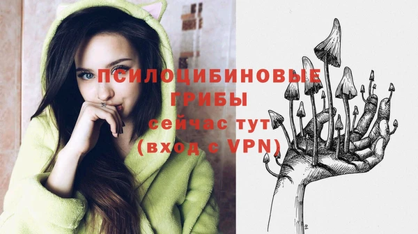 тгк Зеленокумск